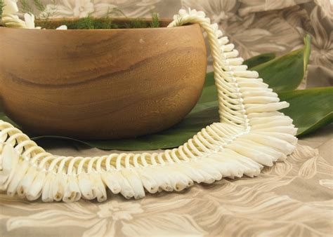 Hawaiian Ginger Flower Meaning Best Flower Site
