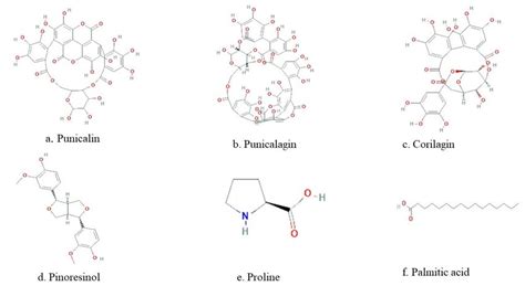 Chemical Structures Of Some Of Phytochemical Constituents Of Punica