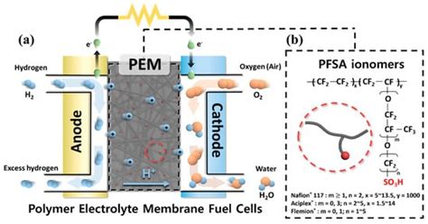 Polymer Electrolyte Membranes Fuel Cell Encyclopedia MDPI