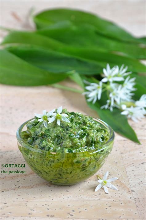 Pesto Di Aglio Orsino Anche Ricetta Salsa E P T Ortaggi Che Passione