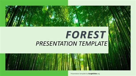 Presentation Templates · Google Slides