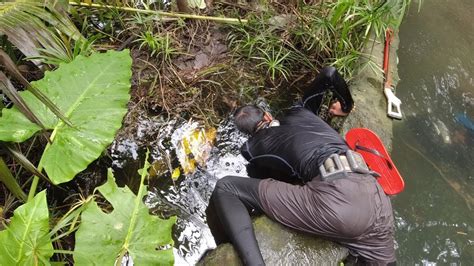 SE02EP097 GAPANG Sa ILALIM Ng Mga WATER LILIES PAKIKIPAG BALTAKAN