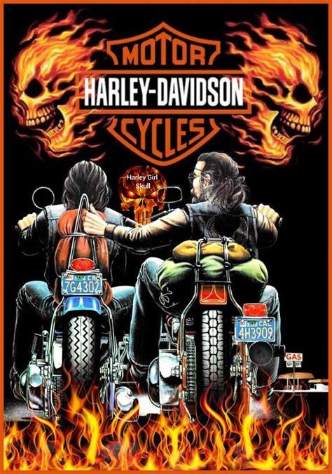 Pin By Floky On Design Harley Davidson Harley Davidson Artwork