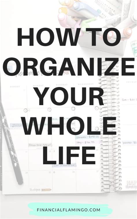 How To Organize Your Whole Life Financial Flamingo