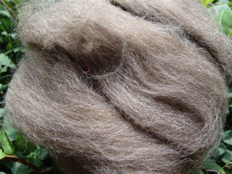 Dorper Sheep Wool Roving 4 Ounces - Etsy