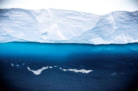 A68a the world’s biggest iceberg heads for disaster