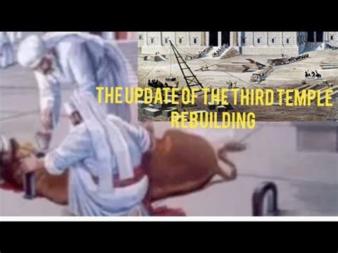 Update Of The Third Temple Rebuilding And The Red Heifer Youtube