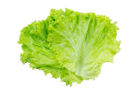 Types of Lettuce ⋆ 100 Days of Real Food