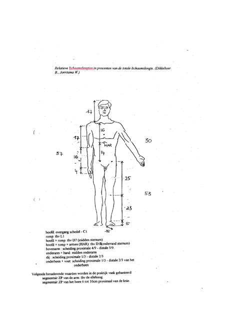 14 Figuren Ligging Deelzwaartepunten Biomechanica Met Inbegrip Van