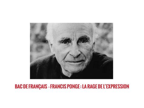 Bac Fiche De Lecture De Francis Ponge La Rage De L Expression