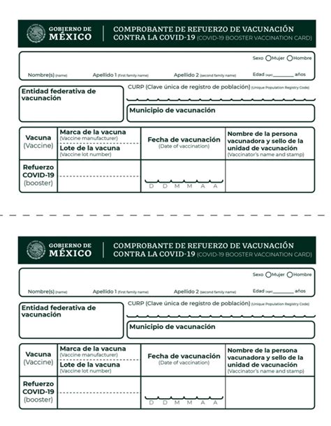 Jornada Masiva En El Estado De Puebla Para La Vacunaci N De Refuerzo