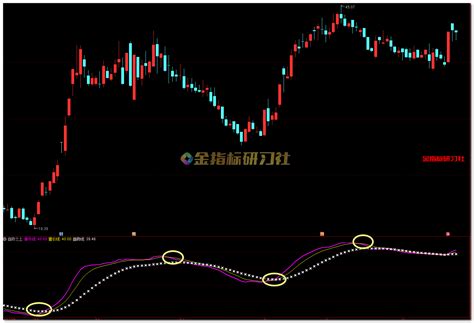 通达信趋势之上【副图选股】指标，趋势波段bs良器 金智课堂