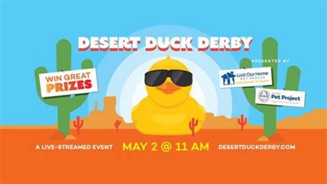 Rubber Duck Race Derby Duck Fundraiser