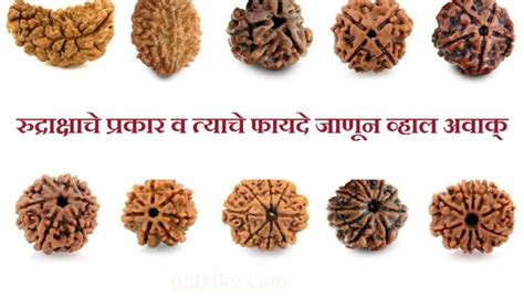 Different Types Of Rudraksha Beads And Their Benefits News In Marathi