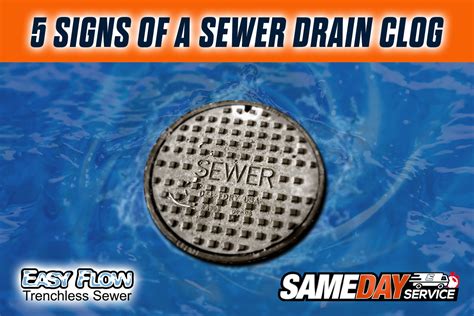 Signs Of A Sewer Drain Clog Clogged Drain Sewer Smelly Drain