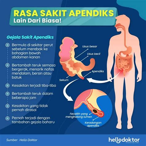 Sakit Perut Memulas Tapi Tak Berak? Ini 6 Punca Biasa Perut Anda Begitu