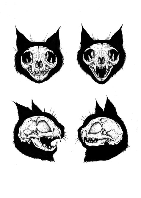 Кошачий череп арт - фото и картинки abrakadabra.fun