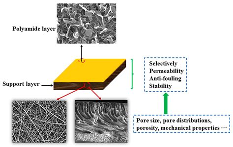 Polymers Free Full Text Development Of Support Layers And Their