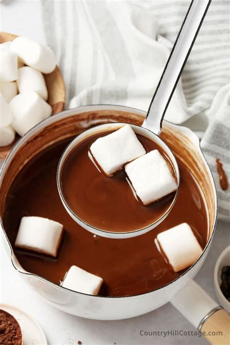 Hot Chocolate Recipe With Cocoa Powder And Evaporated Milk Deporecipe Co