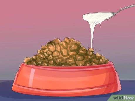 3 Ways to Give Cat Milk to Your Cat - wikiHow