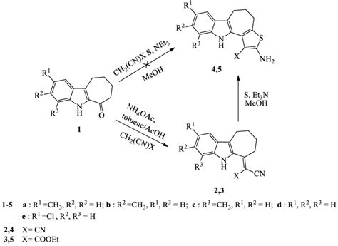 Scheme 1 Reaction Sequences To Achieve Thienocyclohepta B Indoles