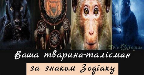 Тварина-талісман для вашого знака Зодіаку – Твій Зодіак