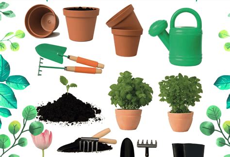 7 Claves Para Trasplantar En Tu Jardín Y Que Tus Plantas Vivan Mucho