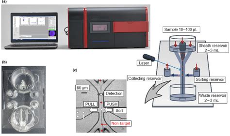 The Novel Cell Sorter On Chip Sort Microfluidic Chip And Sorting