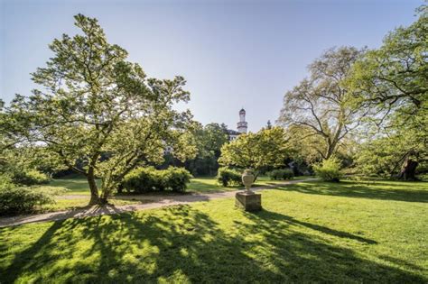 Führungen Für Erwachsene Schloss Und Schlosspark Bad Homburg