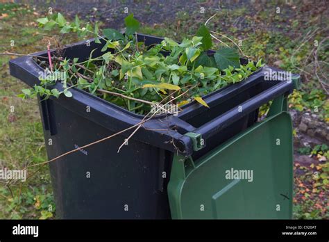 garden waste bin bq  mae burley blog