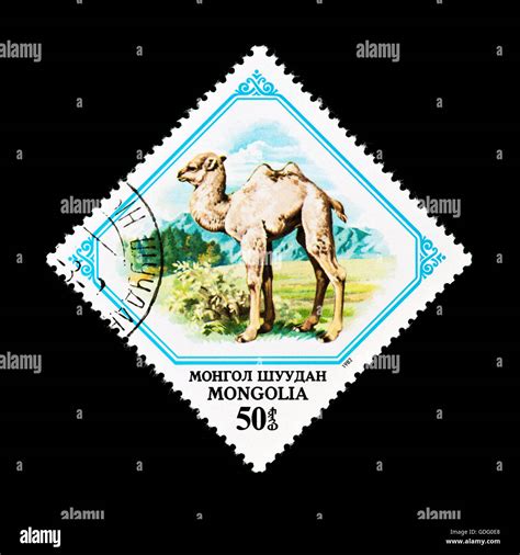 Postage Stamp From Mongolia Depicting A Bactrian Camel Camelus