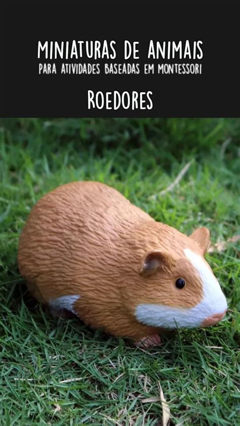 Miniaturas De Animais Para Atividades Baseadas Em Montessori Roedores