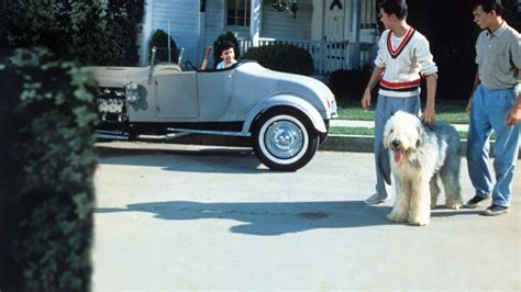 The Shaggy Dog (1959) Full Movie