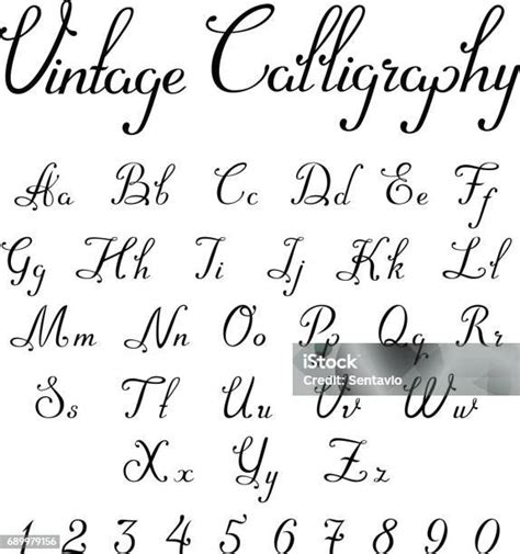 Vektor Linear Font Font Kaligrafi Vintage Nomor Huruf Jenis Kaligrafi