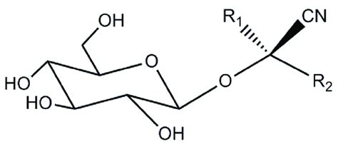 Generic structure for a cyanogenic glycoside, where R1 is often methyl... | Download Scientific ...