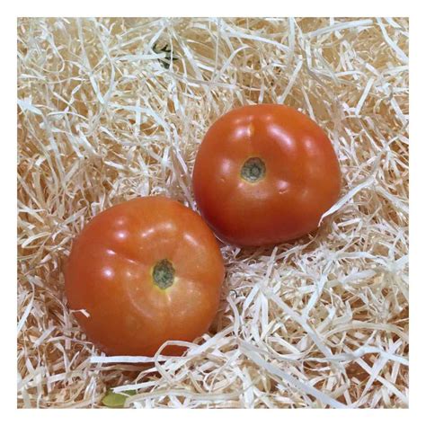 Tomate à farcir 500gr