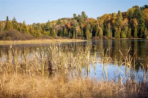 Fall At Kawartha Lakes