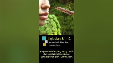 Kejadian 3 1 12 Manusia Jatuh Ke Dalam Dosa Youtube