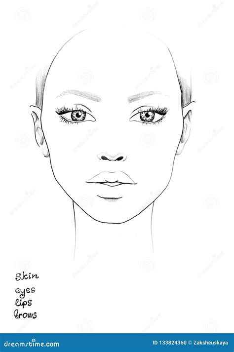 Face Chart Makeup Artist Blank Beautiful Woman Portrait Face Chart