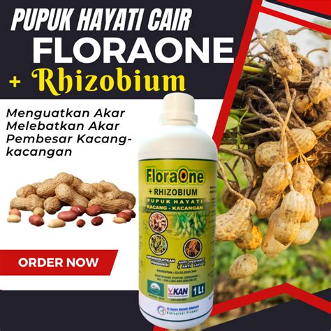 Jual Flora One Bakteri Rhizobium Untuk Membantu Menyuburkan Tanaman