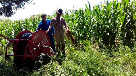 Conheça a irrigação ideal para pequenos agricultores Blog Irrigat