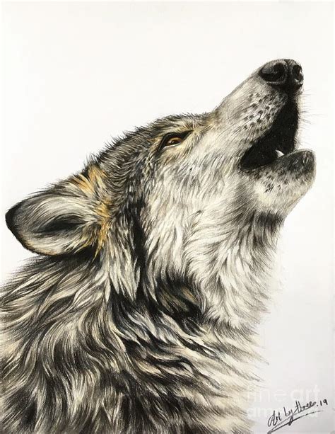 Howling Wolf Drawing by Art By Three Sarah Rebekah Rachel White - Pixels