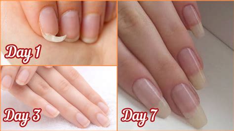 7 Days Nail Growth Challenge Long And Strong Nails Fast At Home All