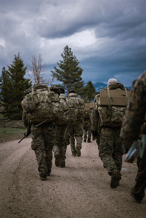 Dvids Images Th Reconnaissance Battalion Conducts A Patrol During