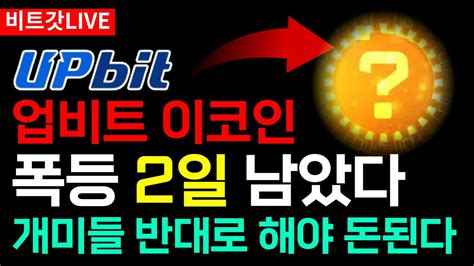 코인추천 홍콩etf 비트코인 반감기 5월에만 90배 더 터질 이 코인 미친듯이 사보세요 웹3코인 Ai코인