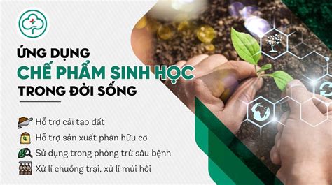 Chế phẩm sinh học là gì Tất tần tật các thông tin về chế phẩm sinh học