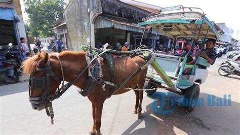 5 Arti Mimpi Naik Delman Ternyata Tidak Selalu Pertanda Baik Simak