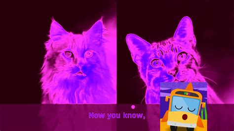 Meowpad Sounds