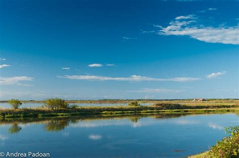 Landscape Of The Lagoon At The Po Delta River National Park Italy A