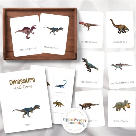 Dinosaur Flash Cards Montessori Inspired Printable Activities